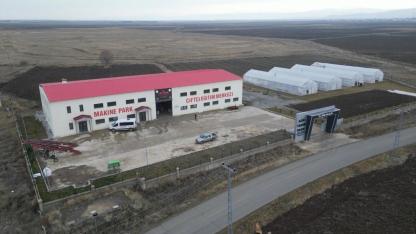 Ağrı’da Seralarda Kışlık Yeşillik Üretimi Test Ediliyor (Videolu Haber)