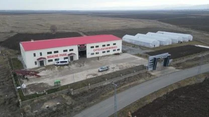 Ağrı’da Seralarda Kışlık Yeşillik Üretimi Test Ediliyor