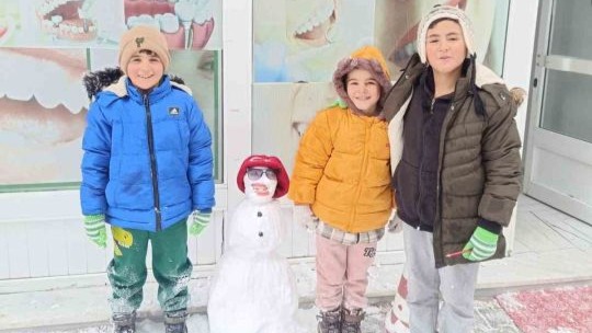 Ağrı'nın Diyadin ilçesinde çocuklar karın tadını kardan adam yaparak çıkardı