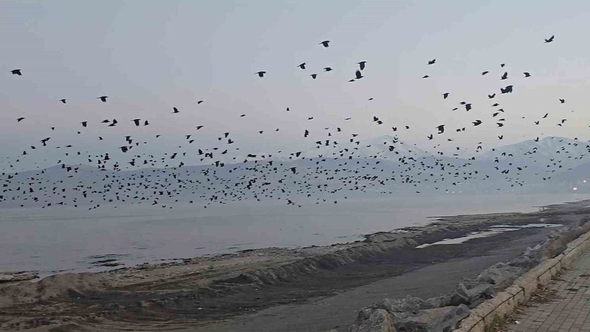 Bitlis&#039;in Tatvan ilçesi sahilinde gökyüzünde sıra dışı manzara
