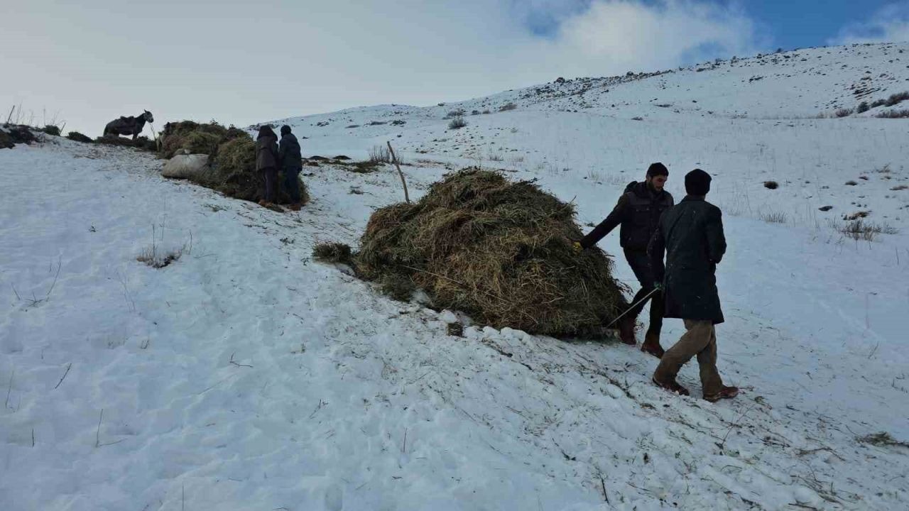 Erciş’te asırlık kış mesaisi: Otlar kızaklarla köye taşınıyor