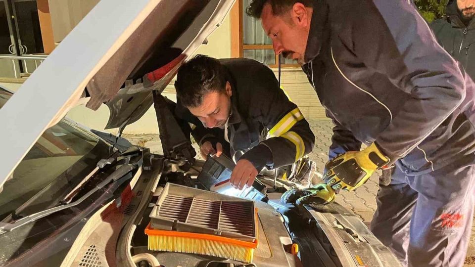 Erzincan’da aracın motor bölmesine sıkışan kediyi itfaiye ekipleri kurtardı