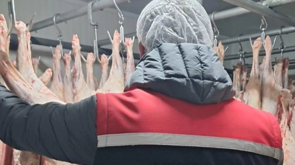 Erzurum’da kapsamlı denetim, 494 işletme denetlendi