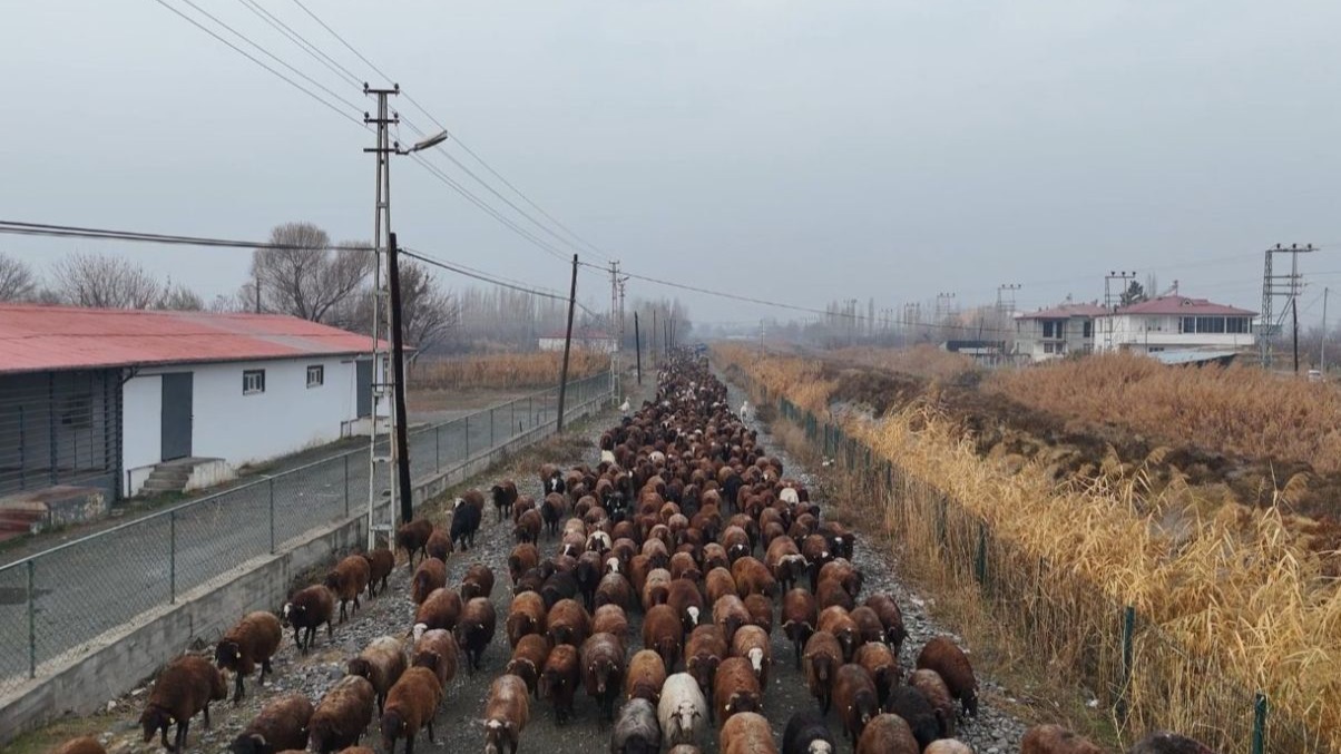 Göçerler, zorlu yolculuğun ardından Iğdır’a ulaştı