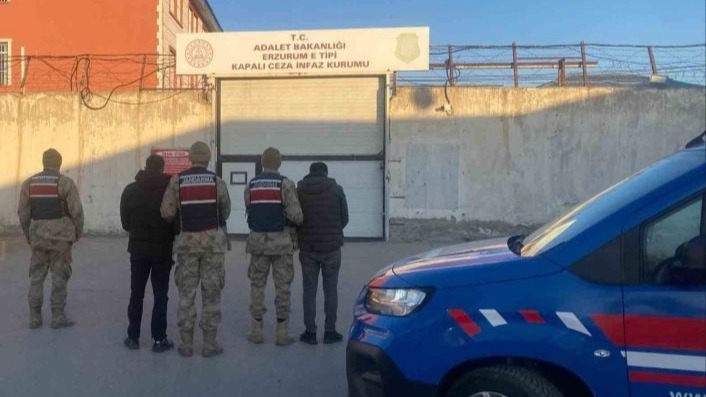 Jandarma Erzurum&#039;da büyükbaş hayvan hırsızlarını kısa sürede yakaladı