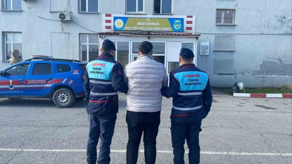 Jandarma Muş’ta dolandırıcılık suçundan aranan hükümlüyü yakaladı