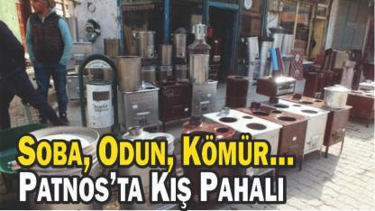 Patnos’a Kış Geldi: Odun Sobası, Odun ve Kömür Fiyatları Cep Yakıyor
