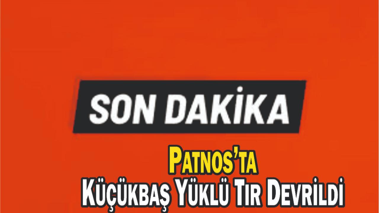 Patnos’ta Küçükbaş Yüklü Tır Devrildi