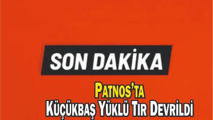 Patnos’ta Küçükbaş Yüklü Tır Devrildi