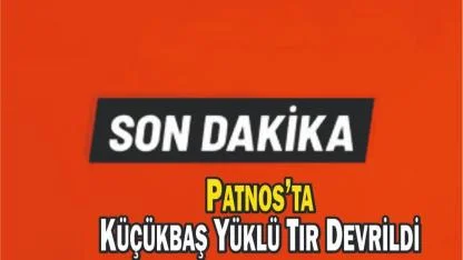 Patnos’ta Küçükbaş Yüklü Tır Devrildi