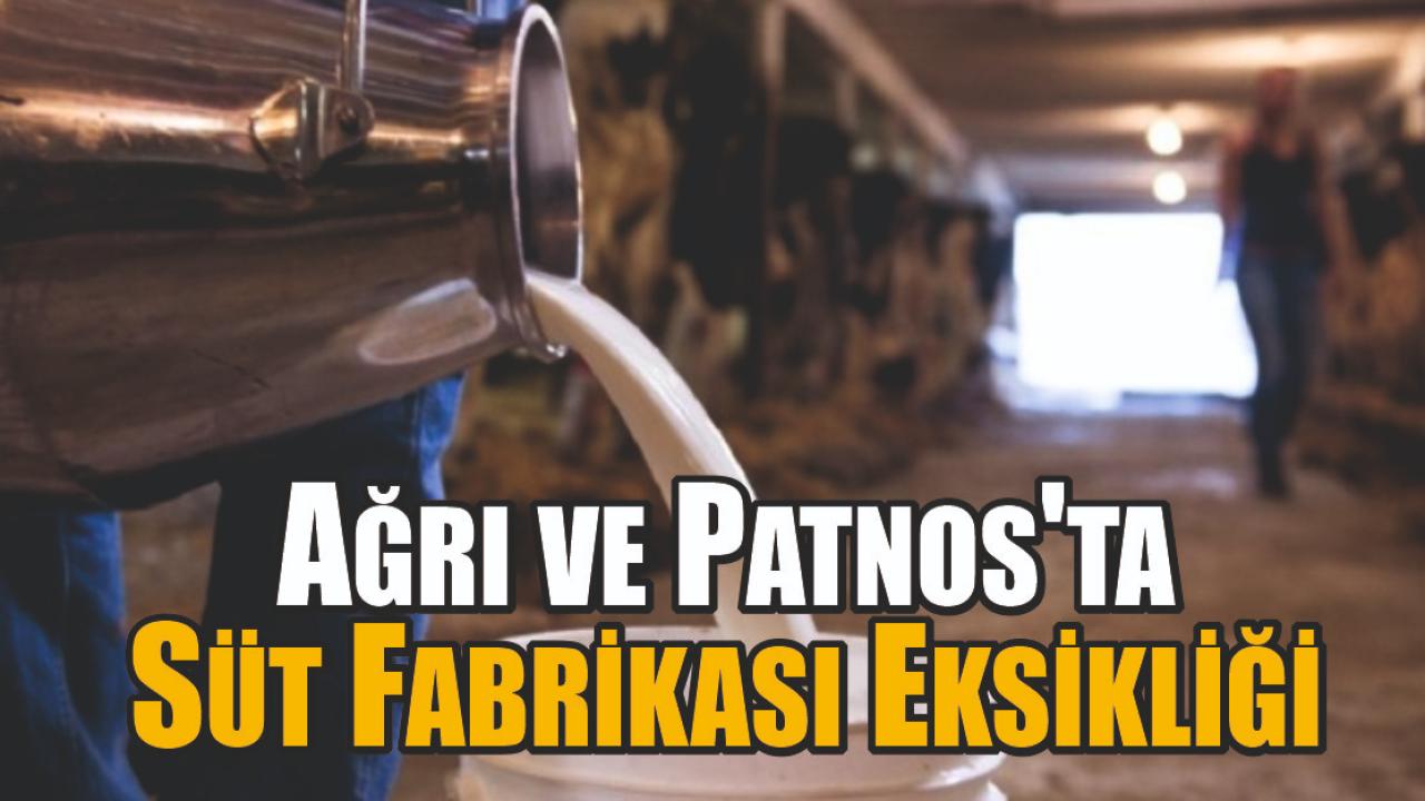 Süt Üretimi Yüksek, Yatırım Yok: Ağrı ve Patnos'ta Süt Fabrikası Eksikliği