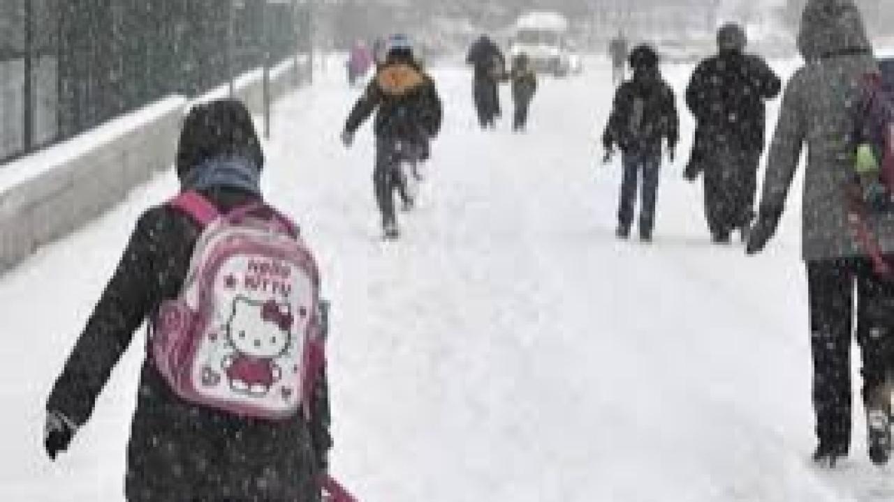 Van Genelinde Yarın Okullar Tatil