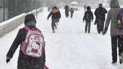 Van Genelinde Yarın Okullar Tatil