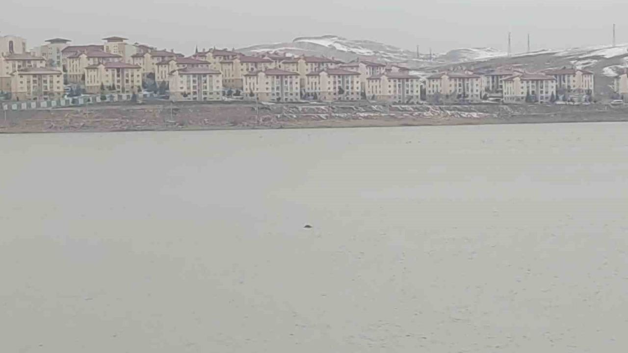 Van'da Sıhke Göleti’ne giren inek telef oldu