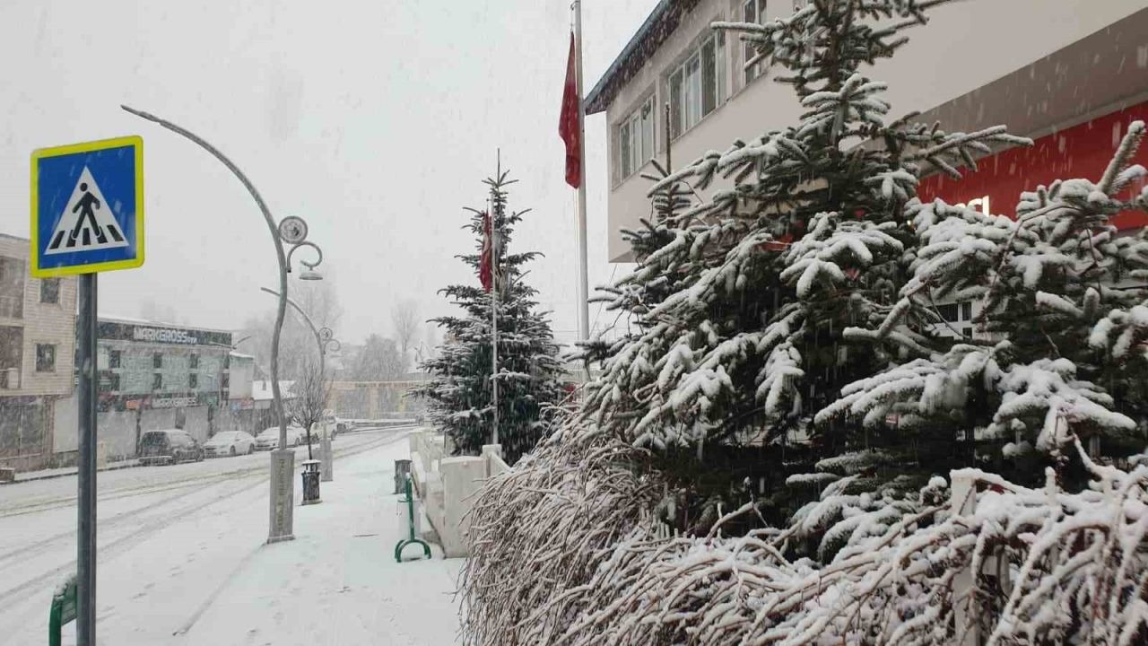 Van&#039;ın Başkale ilçesi beyaza büründü