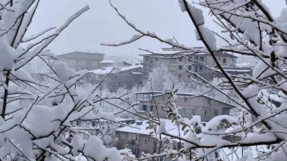 Hakkari’de 7 köy ve 18 mezra yolu için seferberlik