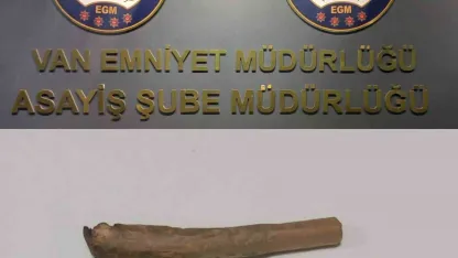 Van’da 43 şahıs adli makamlarca tutuklandı