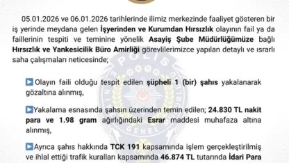Bingöl’de hırsızlık yapan şüpheli tutuklandı