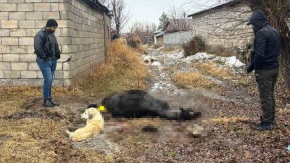 Erzincan’da at ve eşek silahla katledildi