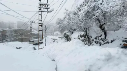 Hakkari’de 310 yerleşim yeri ulaşıma açıldı