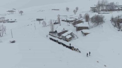 Keçi sürüsü 4 saatlik zorlu yolculukla köye ulaştırıldı