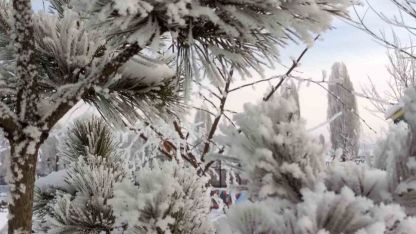 Ardahan’da dondurucu soğuklar etkili oldu