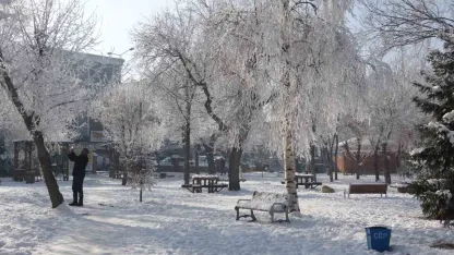 Kırağı sonrası görsel şölen oluştu