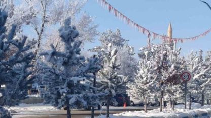 Aşkale’de dondurucu soğuklar hayatı felç etti