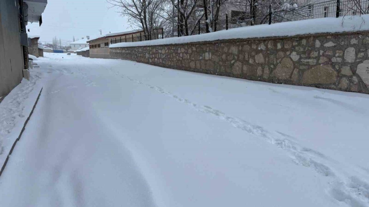Ağrı Diyadin’de yoğun kar yağışı hayatı olumsuz etkiliyor