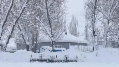 Ağrı’da gece boyunca yoğun kar yağışı etkili oldu