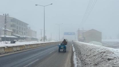 (Videolu Haber) Ağrı’da Yoğun Sis ve Kırağı Etkili Oldu