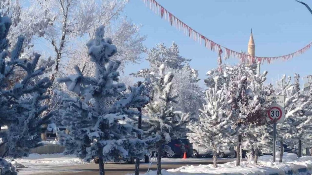 Aşkale’de dondurucu soğuklar hayatı felç etti