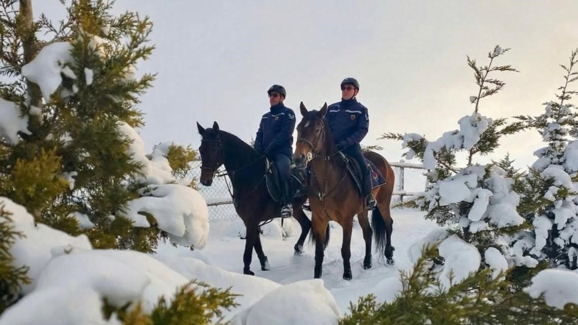 Atlı jandarmadan kış nöbeti: Zorlu hava şartlarında güvenlik devam ediyor