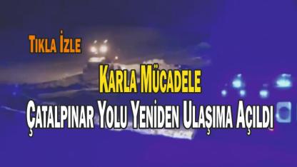 Çatalpınar Köyü Yolu Karla Mücadeleyle Açıldı
