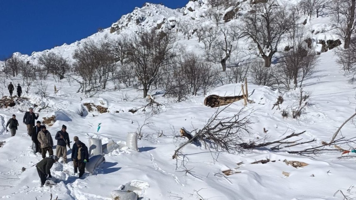 Çığ ahırın üzerine düştü, küçükbaş hayvanlar telef oldu