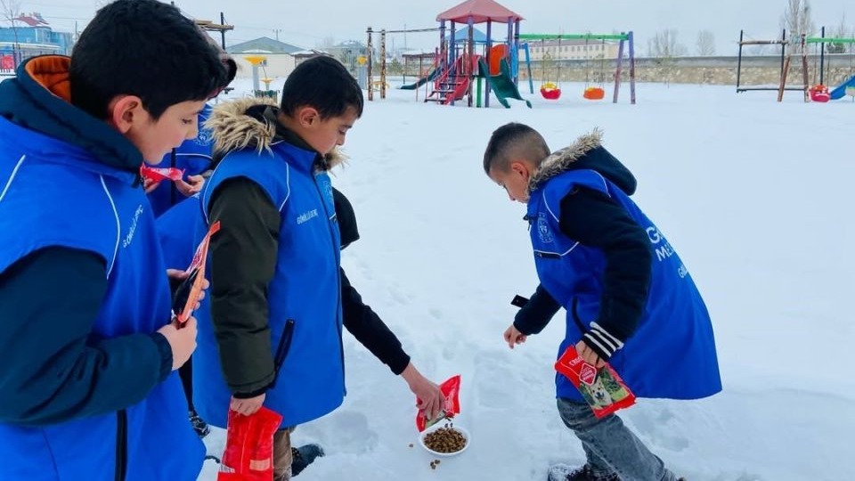 Diyadin'de yürütülen "Kış Kulübü" programı kapsamında sokak hayvanları unutulmadı