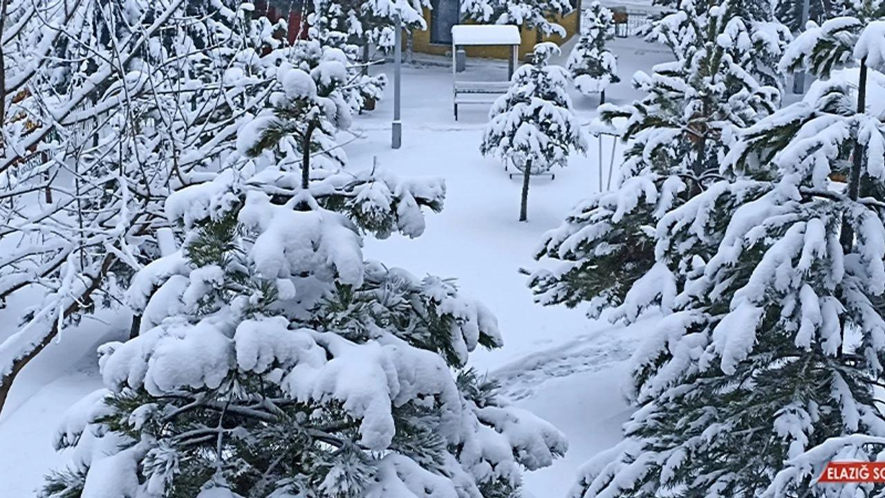 Erciş’te Kar Yağışı Aralıklarla Etkisini Sürdürüyor