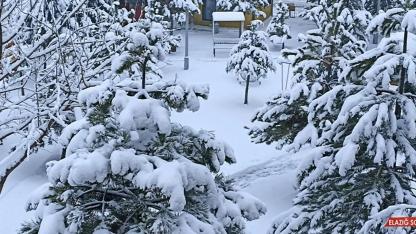 Erciş’te Kar Yağışı Aralıklarla Etkisini Sürdürüyor