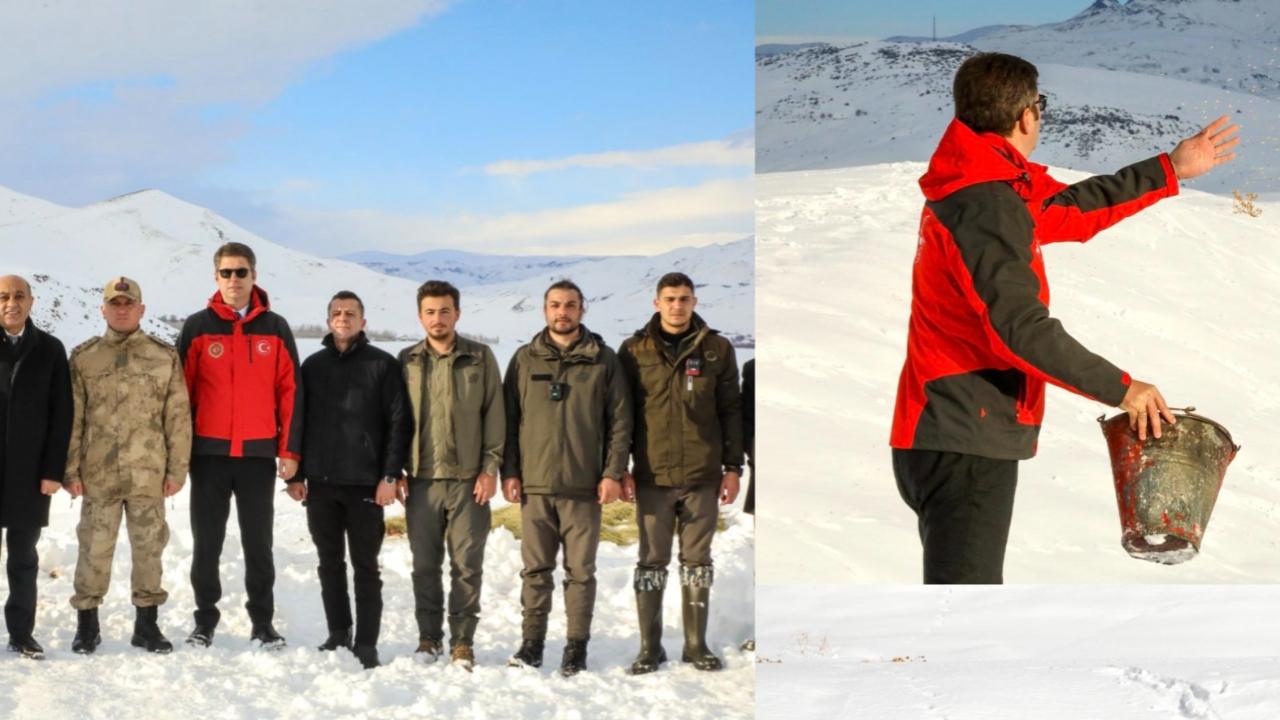 Erciş’te Yaban Hayvanları İçin Doğaya Yem Bırakıldı