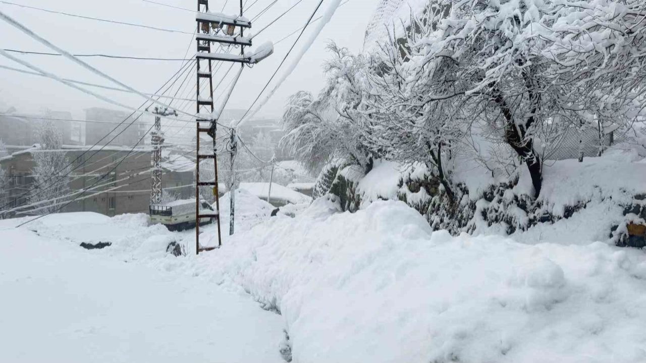 Hakkari’de 310 yerleşim yeri ulaşıma açıldı