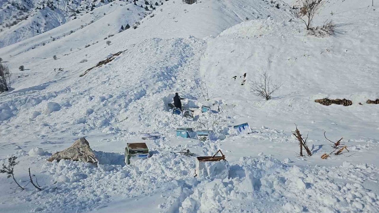 Hakkari’de 32 arı kovanı çığ altında kaldı
