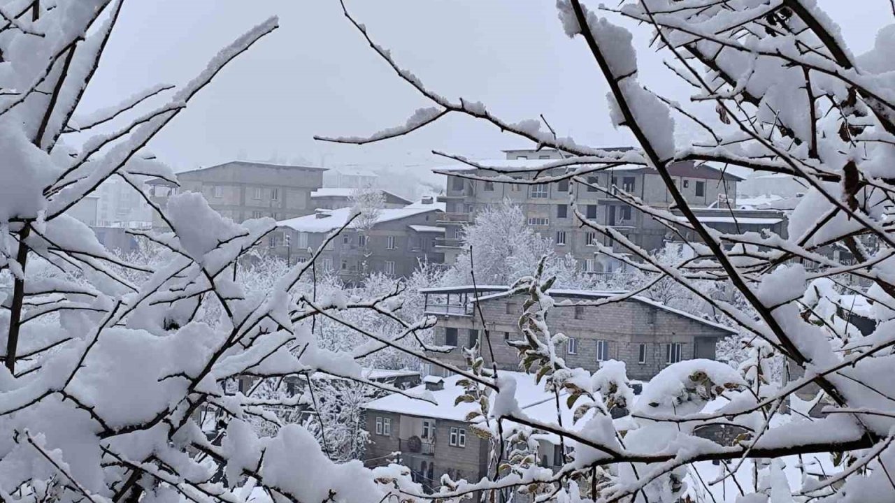 Hakkari’de 7 köy ve 18 mezra yolu için seferberlik
