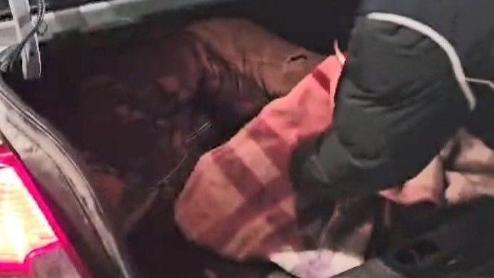 Kars’ta araçların bagajında 2 düzensiz göçmen yakalandı, 3 organizatör gözaltına alındı