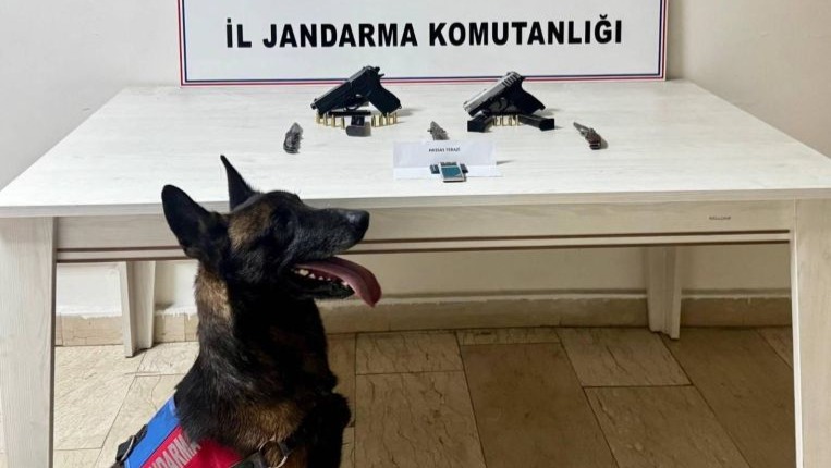 Van’da ruhsatsız tabanca ele geçirildi