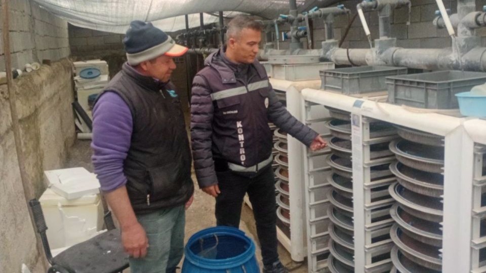 Van’da zorlu kış şartlarında alabalık üretimi mercek altında