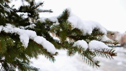 Yoğun Karın Ardından Ağrı’da Kartpostallık Manzaralar