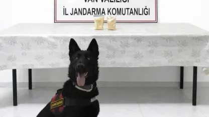 İranlı şahıs üzerinde 510 gram eroin ele geçirildi.