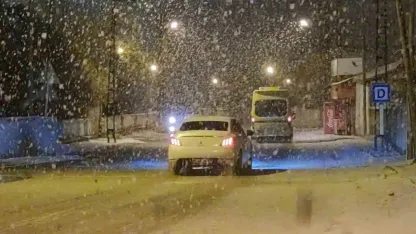 Van’da kar yağışı etkili olmaya başladı