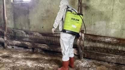 Hakkari Yüksekova’da kuduz alarmı: Ekiplerin müdahalesiyle durum kontrol altına alındı