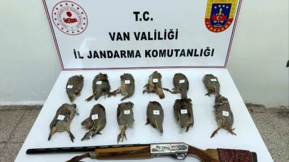 Van’da keklik avlayan kişiye 81 bin TL ceza